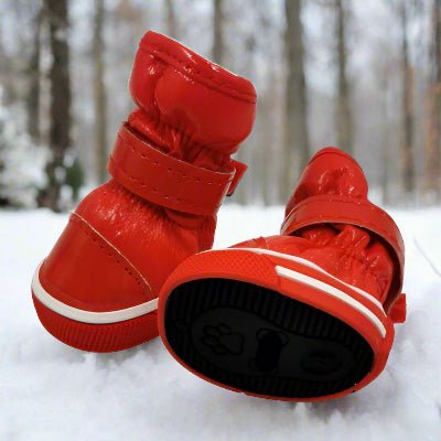 Bottes chien| Imperméable Thermo™ - Chien en balade