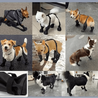 Bottes pour chien | Brettelles Imperméables - Chien en balade