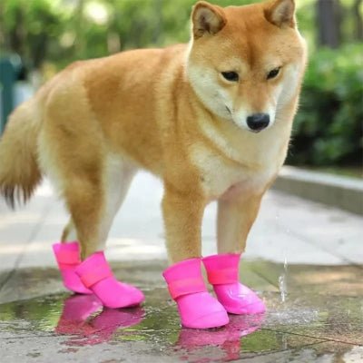 Bottes pour chien rose avec chien innu