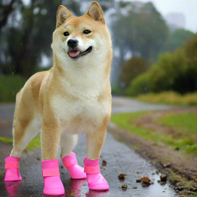 Bottes pour chien| imperméable Fluo  campagne