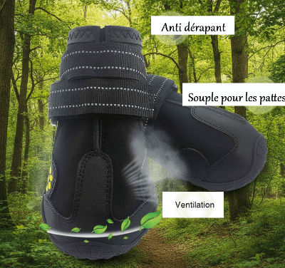 Chaussure chiens| tout - Terrain | PawProtect™ - Chien en balade