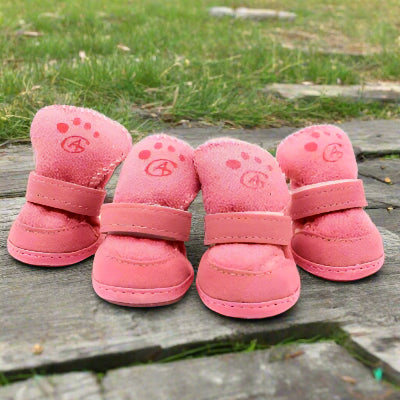 Chaussures pour Chien 4 bottes- PawWarm - Rose4 - Chien en balade