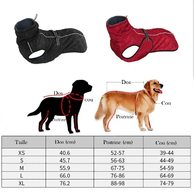 Chien manteau | Imperméable ImperReflx™ chaud et résistant - Chien en balade