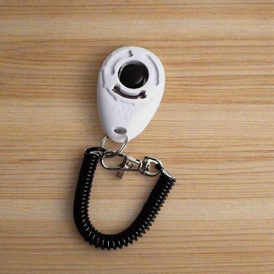 Clicker d'entrainement pour chien blanc- Chien en balade