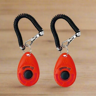 clicker d'entrainement pour chien duo rouge- Chien en balade