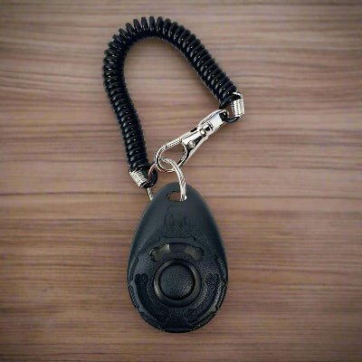Clicker d'entrainement pour chien noir -Chien en balade