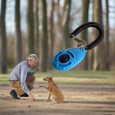 Clicker d'entrainement pour chien|Klik™ Un clic une réponse - Chien en balade