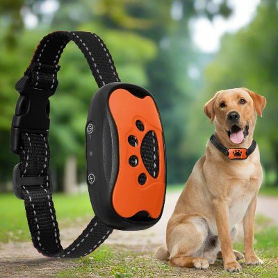 Collier anti aboiement chien| Sonik™ - Chien en balade