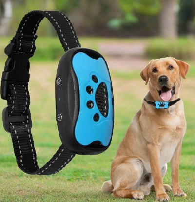Collier anti aboiement chien| Sonik™ - Chien en balade