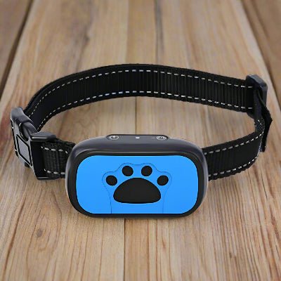 Collier anti aboiement| chien  Sonik™ - Chien en balade