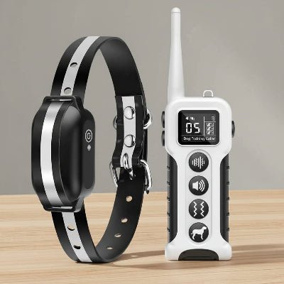 Collier anti aboiement ShockySafe™ | Sans douleur - Chien en balade