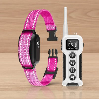 Collier anti aboiement ShockySafe™ | Sans douleur - Chien en balade