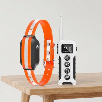 Collier anti aboiement ShockySafe™ | Sans douleur - Chien en balade