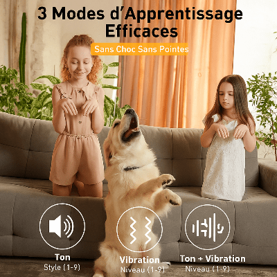 Collier anti aboiement ShockySafe™ | Sans douleur - Chien en balade