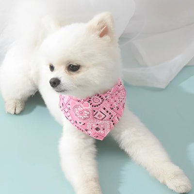 Collier chien | Bandanas Klassik™ Ajustable - Chien en balade