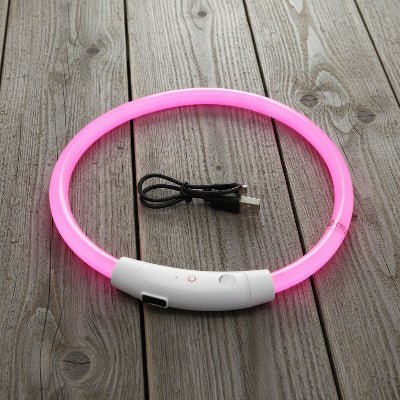 Collier chien lumineux Arceau™ | Sécurité nocturne - Chien en balade