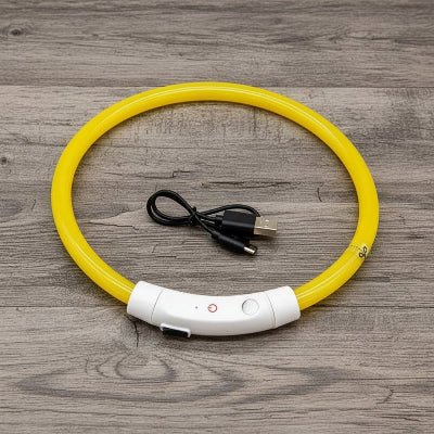 Collier chien lumineux Arceau™ | Sécurité nocturne - Chien en balade