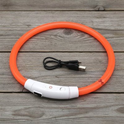 Collier chien lumineux Arceau™ | Sécurité nocturne - Chien en balade