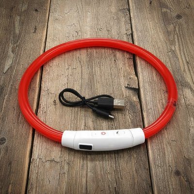 Collier chien lumineux Arceau™ | Sécurité nocturne - Chien en balade