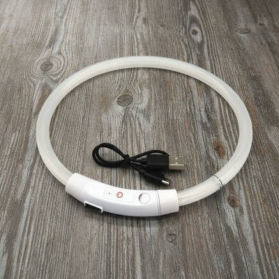 Collier chien lumineux Arceau™ | Sécurité nocturne - Chien en balade