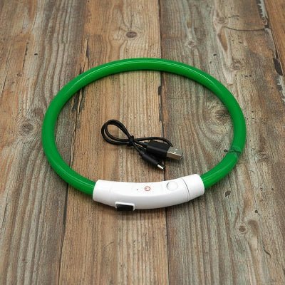 Collier chien lumineux Arceau™ | Sécurité nocturne - Chien en balade