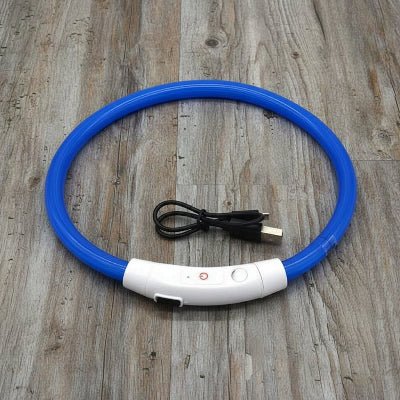 Collier chien lumineux Arceau™ | Sécurité nocturne - Chien en balade