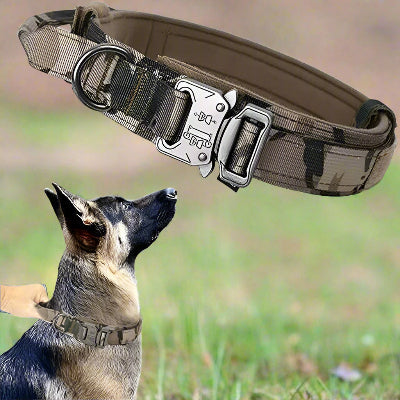 Collier tactique militaire  Army camouflage-Chien en balade