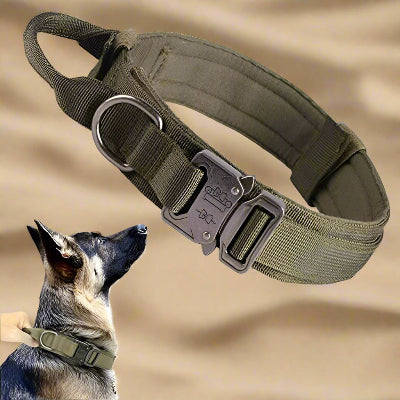 Collier tactique militaire  Army kaki Chien en balade