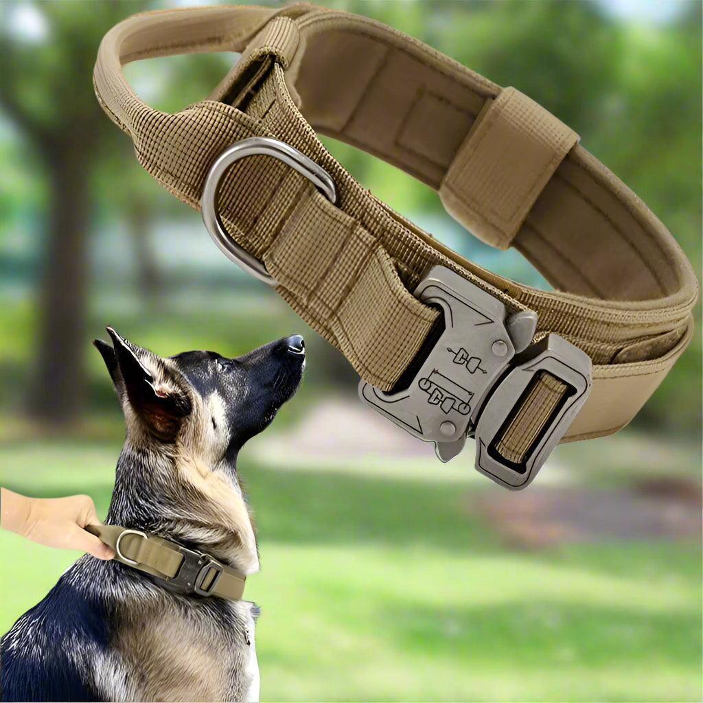 Collier tactique militaire beige Chien en balade