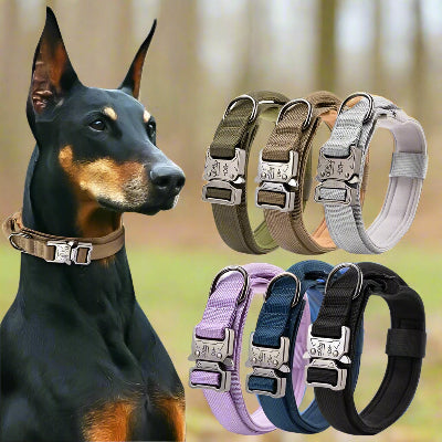 Collier chien  tactique militaire 6 couleurs- Chien en balade