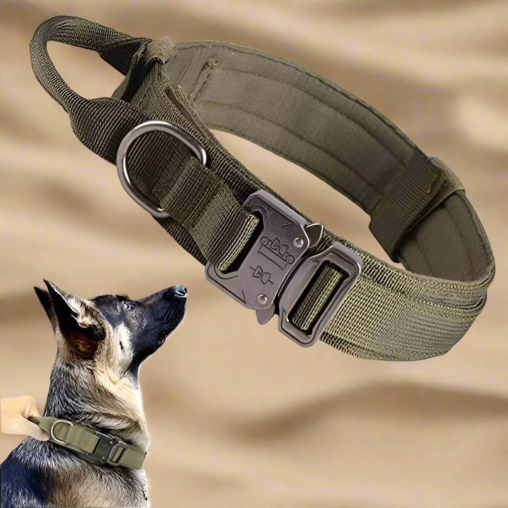 Collier tactique militaire -kaki Chien en balade