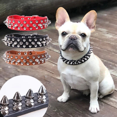 Collier cuir chien |Punk™ 4 couleurs - Chien en balade