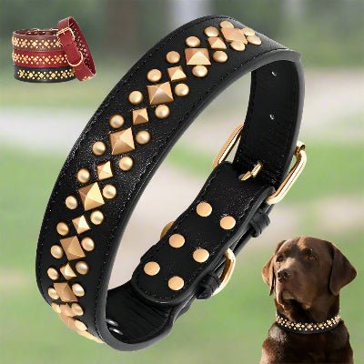Collier cuir chien | Élégance™ - Chien en balade