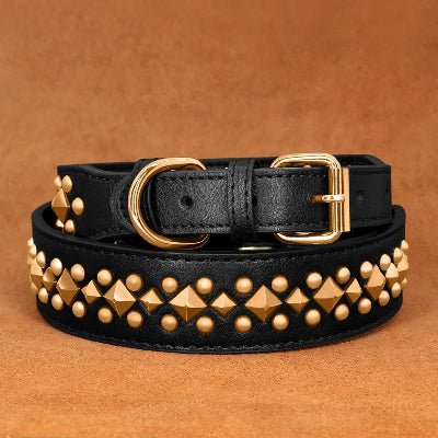 Collier cuir chien | Élégance™ - Chien en balade