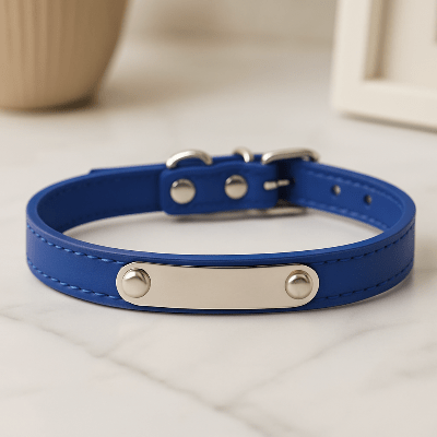 Collier cuir chien|Perso - Nel™ - Chien en balade