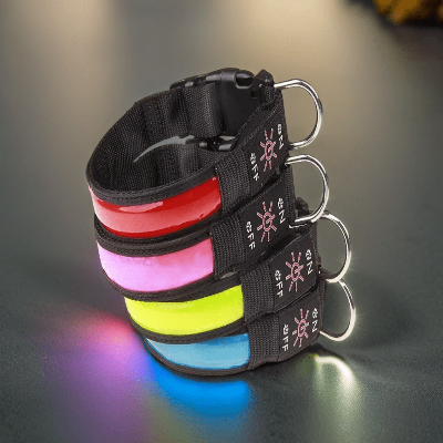 Collier de chien lumineux™ -4-couleurs- Chien en balade