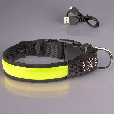 Collier de chien lumineux™ Jaune- Chien en balade