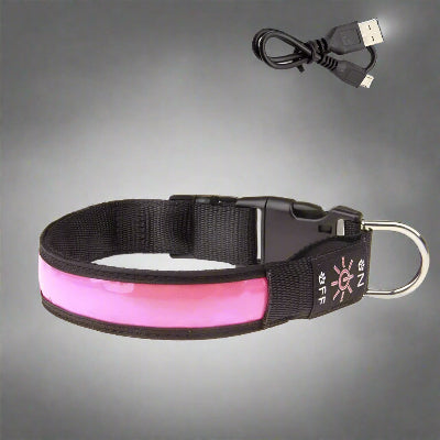 Collier de chien lumineux™ -Rose- Chien en balade