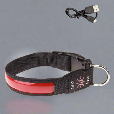 Collier de chien lumineux™ - Rouge-Chien en balade