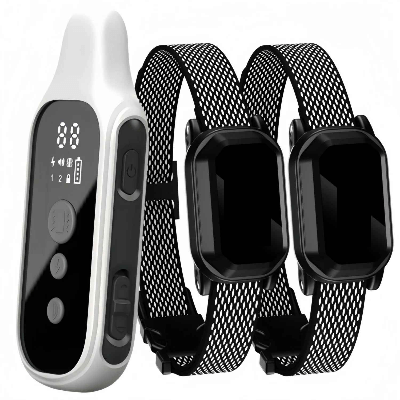 Collier de dressage pour chien | Obéissance™ - Chien en balade