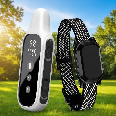 Collier de dressage pour chien | Obéissance™ - Chien en balade