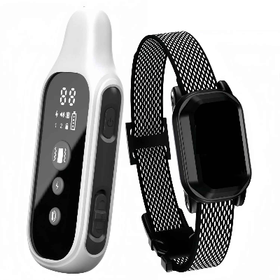 Collier de dressage pour chien | Obéissance™ - Chien en balade