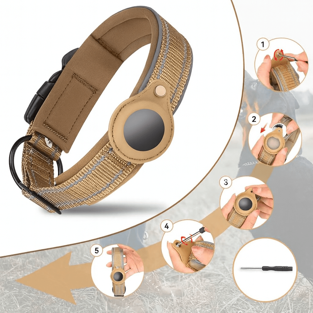 Collier GPS chien |Tag™ - Chien en balade
