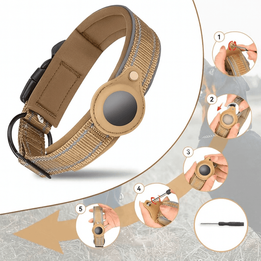 Collier GPS chien |Tag™ - Chien en balade