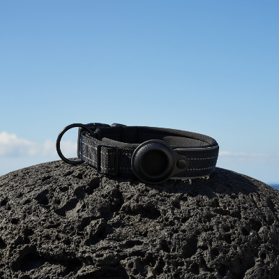 Collier GPS chien |Tag™ - Chien en balade