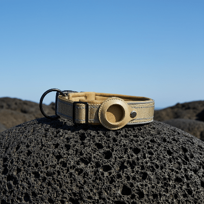 Collier GPS chien |Tag™ - Chien en balade