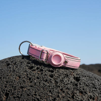 Collier GPS chien |Tag™ - Chien en balade