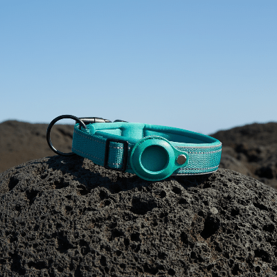 Collier GPS chien |Tag™ - Chien en balade