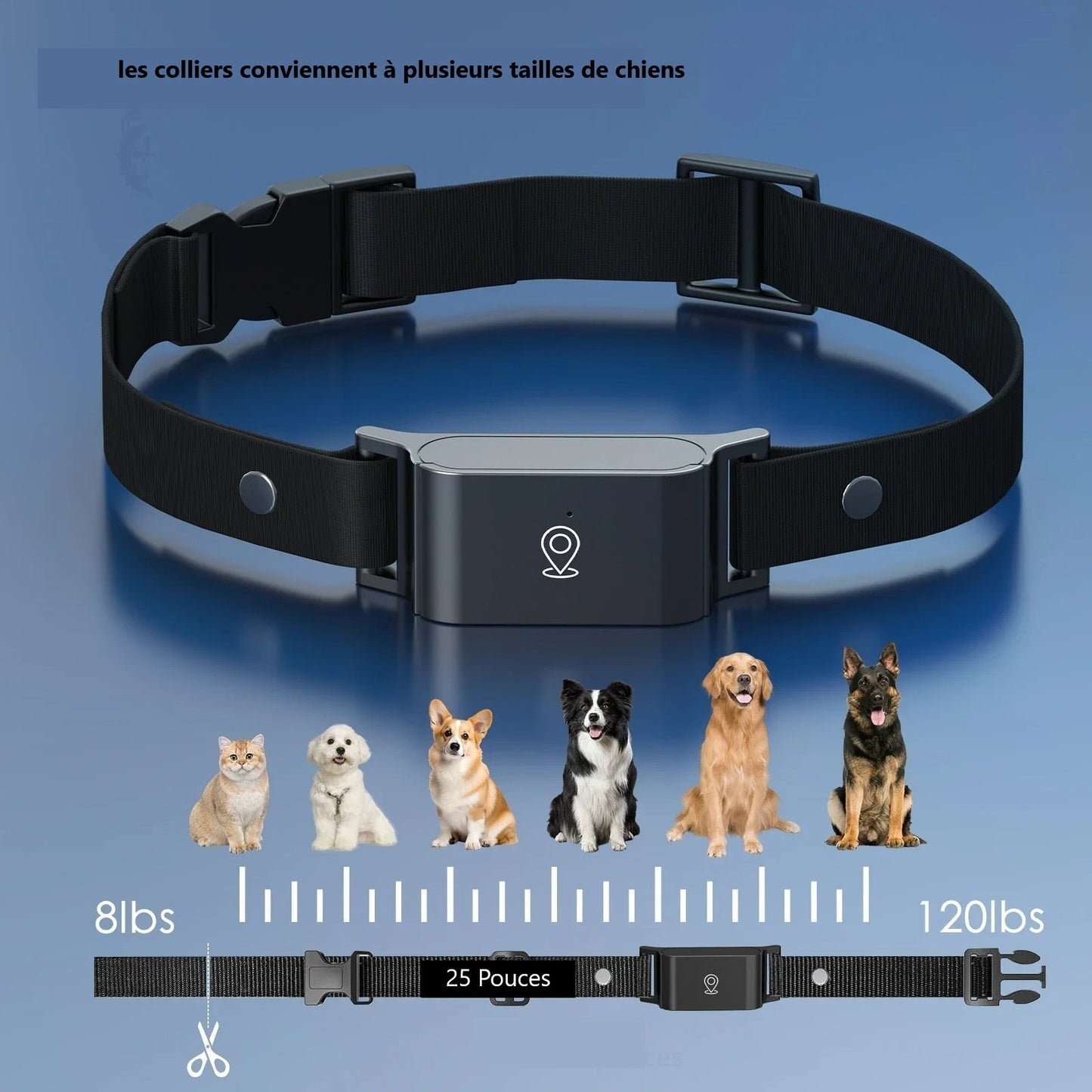 Collier GPS pour chien - Chien en balade