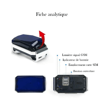 Collier GPS pour chien| Diam™ Ultra Précis - Chien en balade